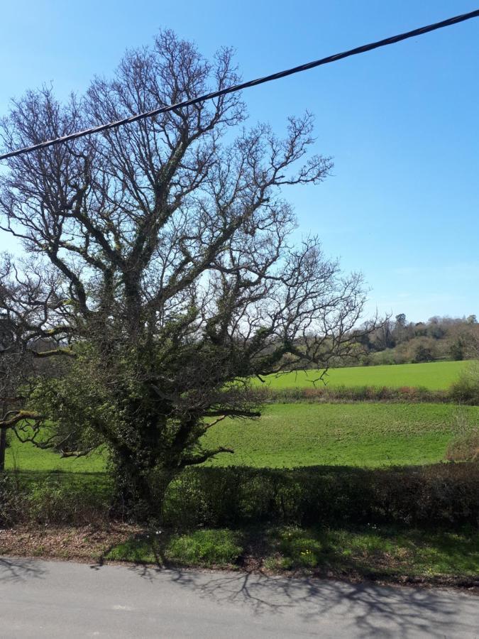 Court Barn Cottage B&B Burwash Luaran gambar
