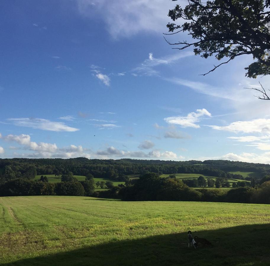 Court Barn Cottage B&B Burwash Luaran gambar